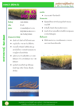 กข63 (RD63) ชื่อพันธุ์