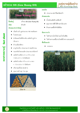 เก้ารวง 88 (Gow Ruang 88) ชือพันธุ์