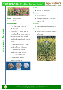 เจ้าลีซอสันป่าตอง (Jow Lisaw San-pah