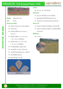 เหลืองประทิว 123 (Leuang Pratew 123) ชือพันธุ์