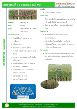 สุพรรณบุรี 90 ( Suphan Buri 90)