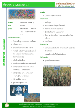 ชัยนาท 1 (Chai Nat 1)