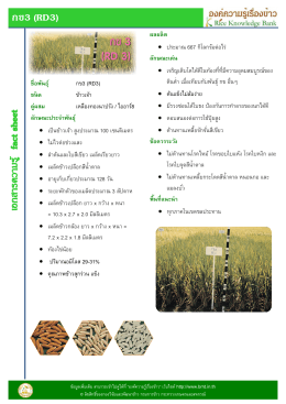 กข3 (RD3) ชื่อพันธุ์