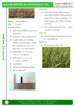 เหนียวดําช่อไม้ไผ่ 49 (PTNC96004
