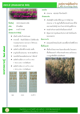 กข12 (หนองคาย 80)