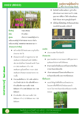 กข22 (RD22) ชื่อพันธุ์