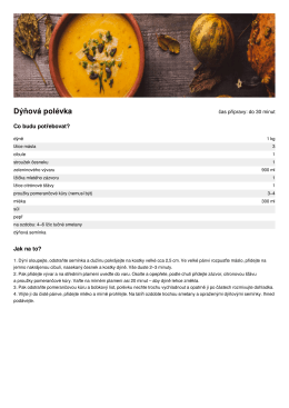 Dýňová polévka
