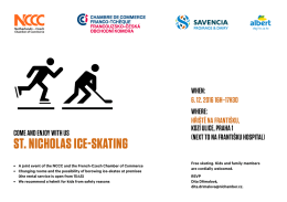 st. nicholas ice-skating - Netherlands