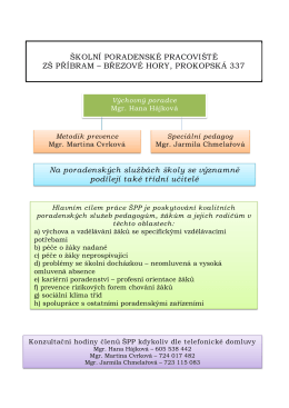 školní poradenské pracoviště