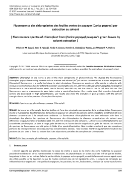 Fluorescence des chloroplastes des feuilles vertes