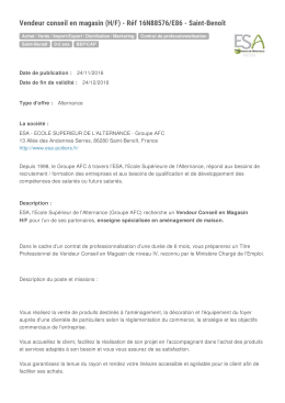 Vendeur conseil en magasin