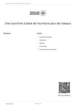 Une couronne à base de nourriture pour les oiseaux