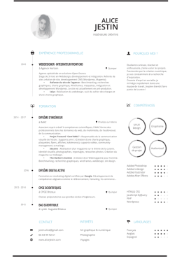 Télécharger mon CV