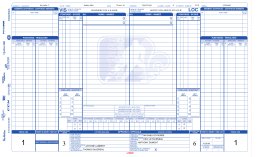 game sheet - Ligue Section Vallée du Richelieu