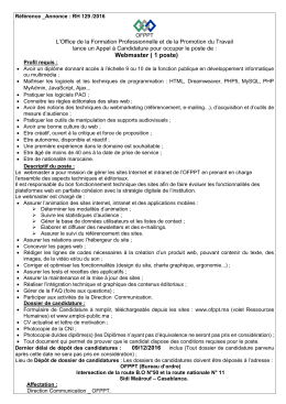Webmaster ( 1 poste)