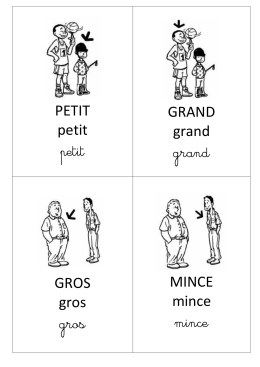 Les adjectifs