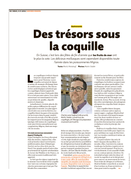 Des trésors sous la coquille