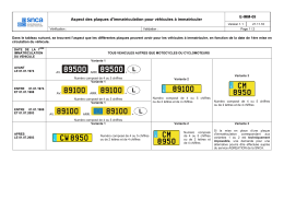 Aspect des plaques d`immatriculation pour véhicules à