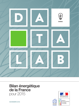 Bilan énergétique de la France pour 2015