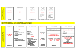 Brevet Federal Option Gym IDF Zone Projet