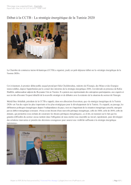 D&eacute;bat &agrave; la CCTB : La strat&eacute;gie &eacute;nerg&eacute;tique de la Tunisie