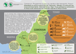 Corrig&eacute; 6 Infographic Cameroun PAST