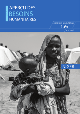 Aper&ccedil;u des Besoins Humanitaire