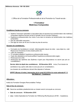 1 Formateur Mat&eacute;riaux Composites