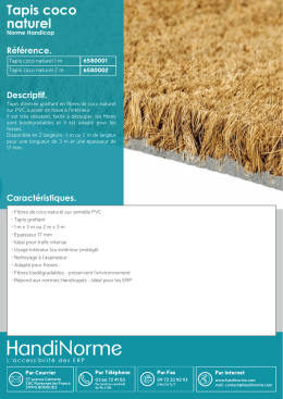 Tapis coco naturel