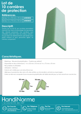 Lot de 10 cornières de protection