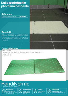 Dalle podotactile photoluminescente