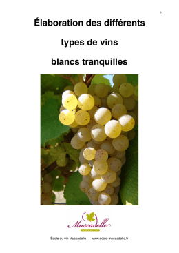 vins-blancs-tranquilles - Ecole du vin – Muscadelle