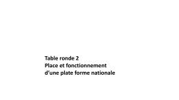Table ronde 2 Place et fonctionnement d`une plate forme