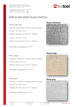 Dalles en gr&egrave;s c&eacute;rame fin pour l`ext&eacute;rieur