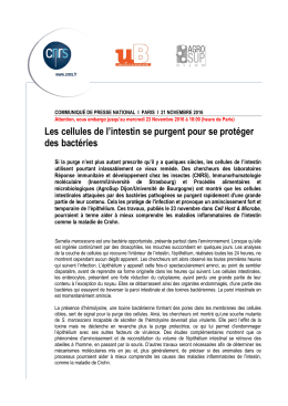 Les cellules de l`intestin se purgent pour se protéger des