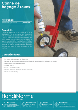 Canne de tra&ccedil;age 2 roues