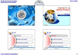 Strat&eacute;gies de remplacement