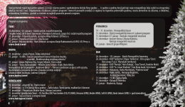 Nova Godina - Montenegro Travel