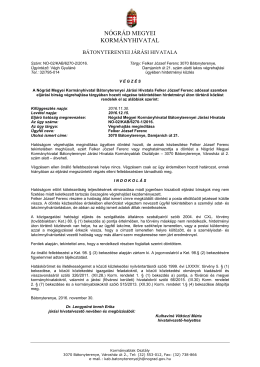 Az eljárás során hozott végzés itt letölthető!