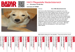 HACI Pflegestelle Niederösterreich