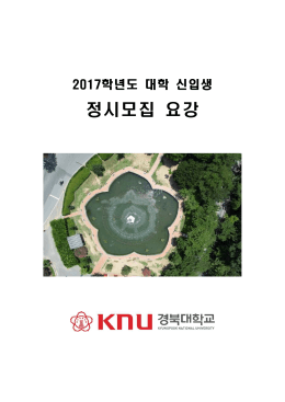 2017학년도 대학 정시모집 요강.hwp