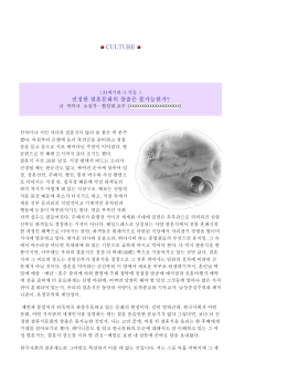CULTURE 진정한 결혼문화의 창출은 불가능한가?