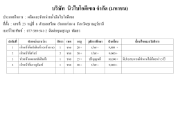 บริษัท นิวไบโอดีเซล จ ากัด (มหาชน)