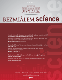 Volume - Cilt 4 • Issue - Sayı 3 • December