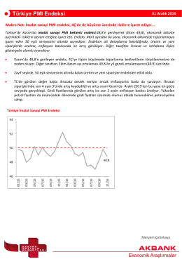 Türkiye PMI Endeksi