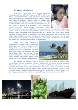 Sto a jedna tv&aacute;ř Vietnamu