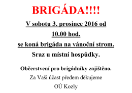 V sobotu 3. prosince 2016 od 10.00 hod. se koná brigáda na