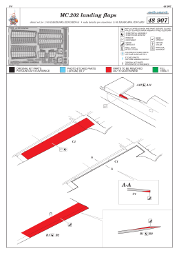 48907_%_MC202LandingFlaps NAV