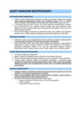 Audit n&aacute;rodn&iacute; bezpečnosti (stručn&eacute; informace)