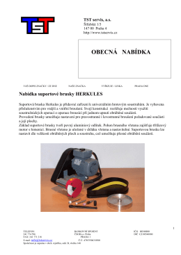 obecná nabídka - TST Servis, as